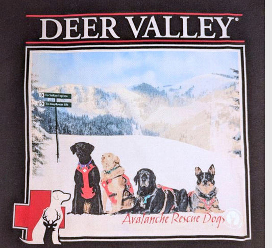 Youth Avalanche Rescue Dog T-Shirt
