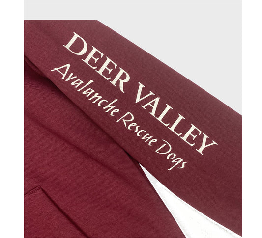 Youth Avalanche Rescue Dog Hoodie