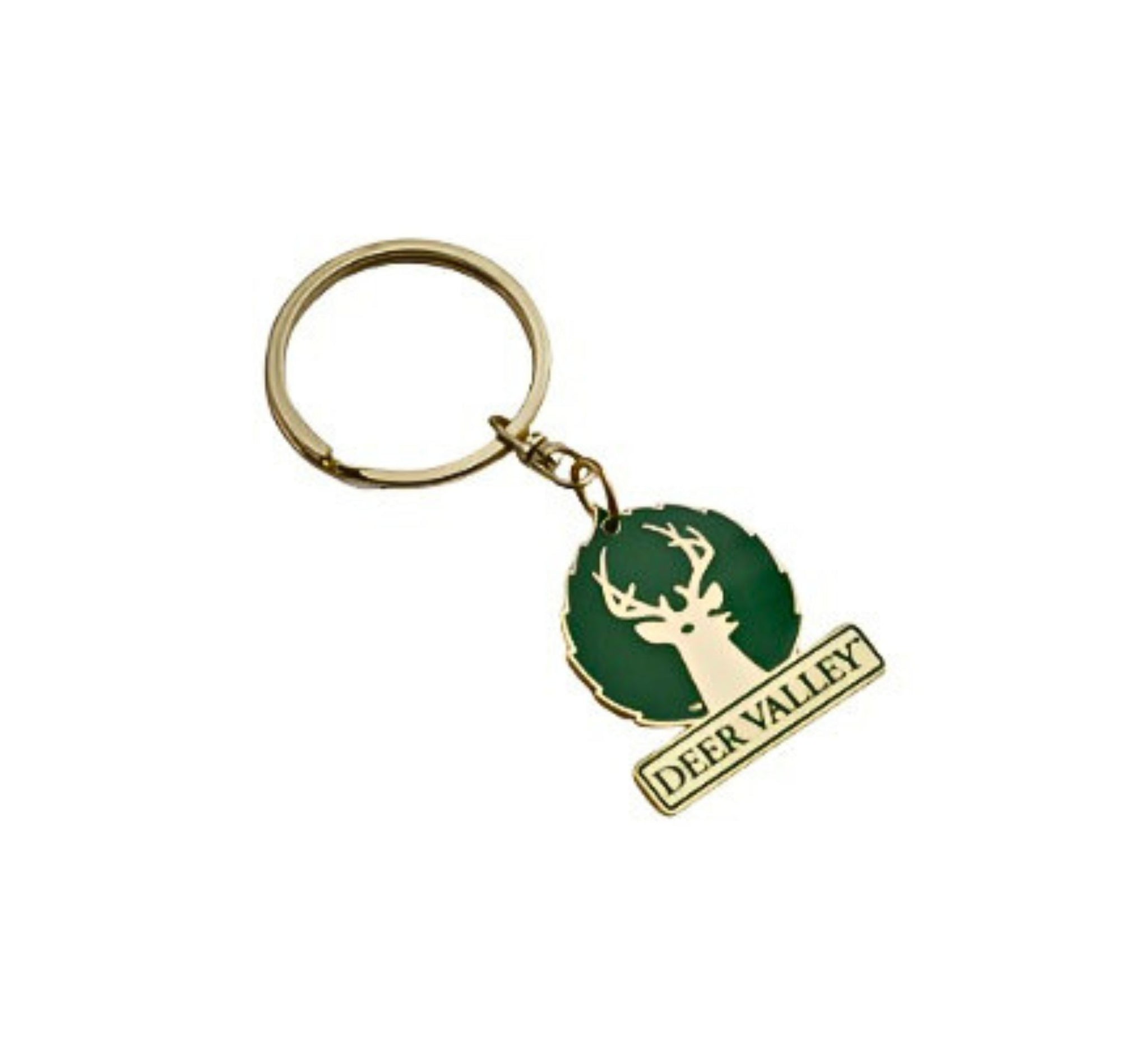 Large Logo Keychain