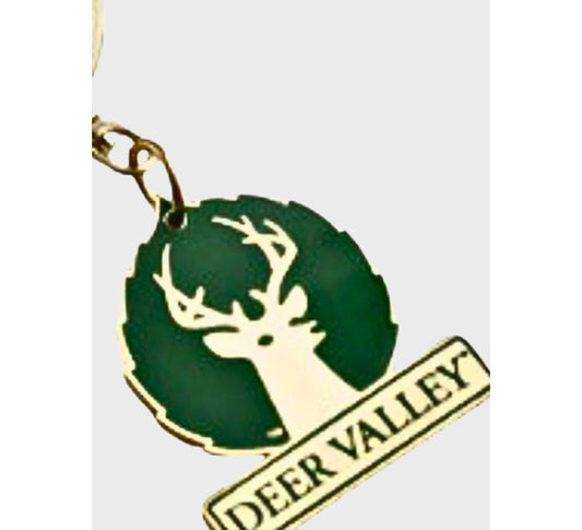 Large Logo Keychain