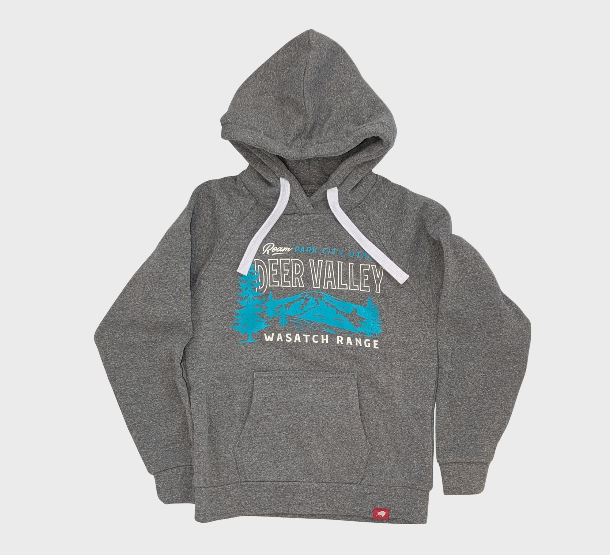 Ski the Wasatch! Youth Hoodie
