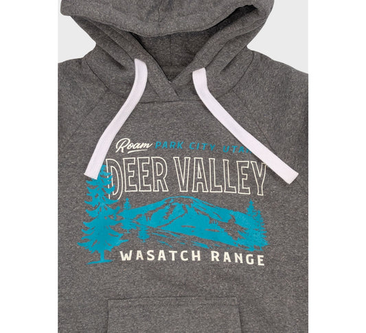Ski the Wasatch! Youth Hoodie