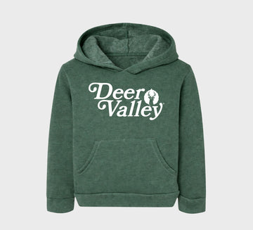 Toddler Carbenite Pullover Hoodie